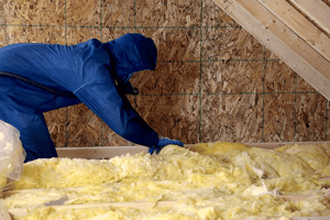 1000年x667_fiberglassattic_jpg
